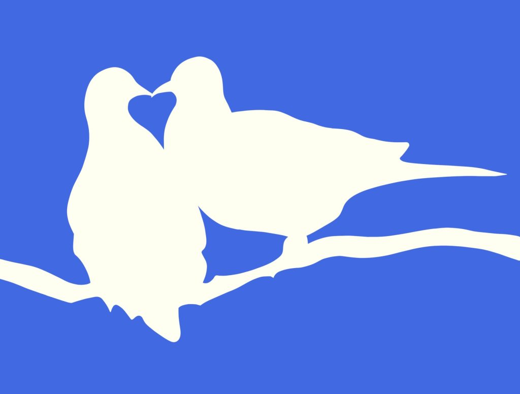 2 colombes blanches qui s'embrassent sur fond bleu